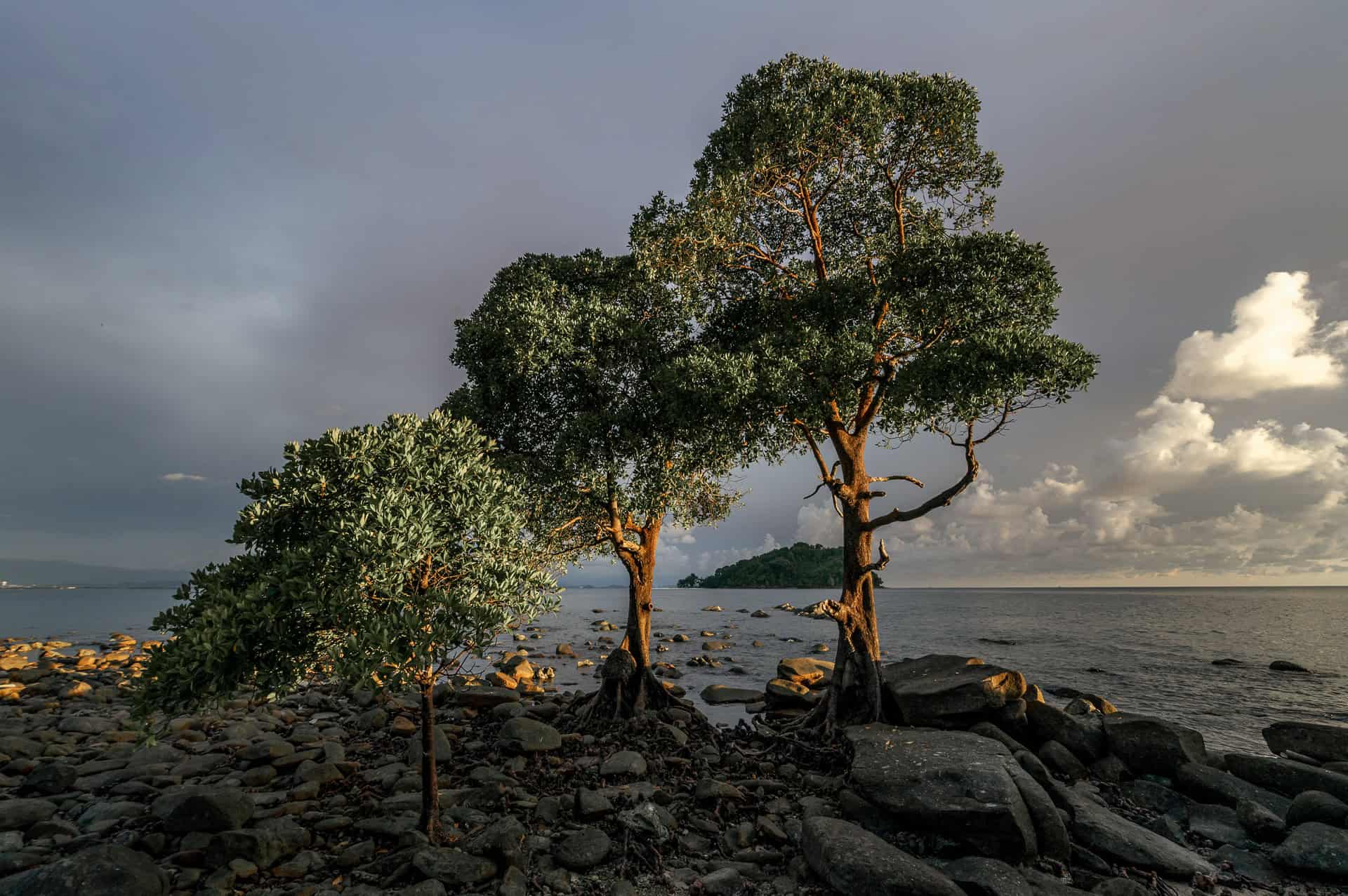 The parts of Manukan Island no one talks about