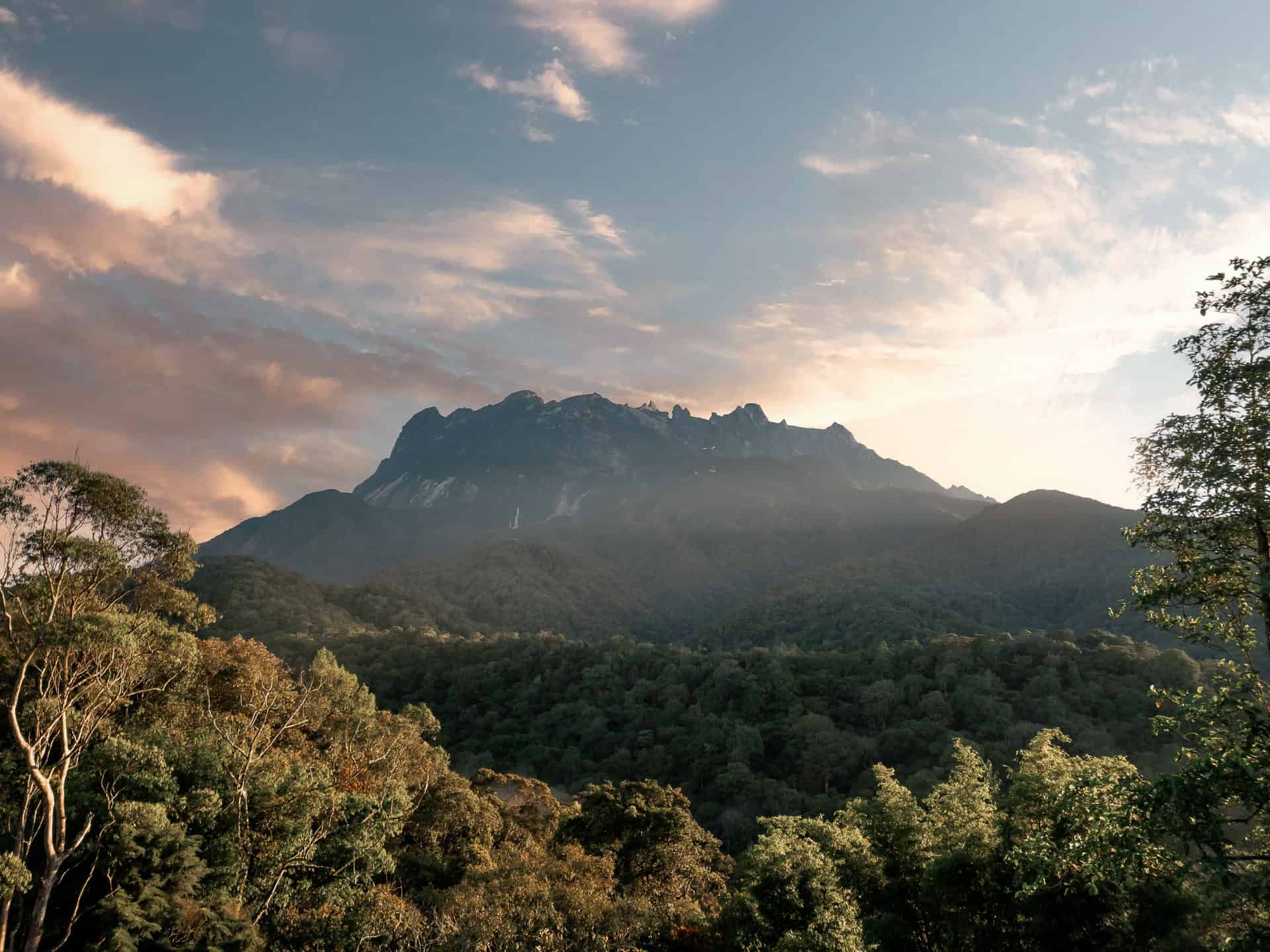 Kinabalu Park hiking trails for your next family adventure