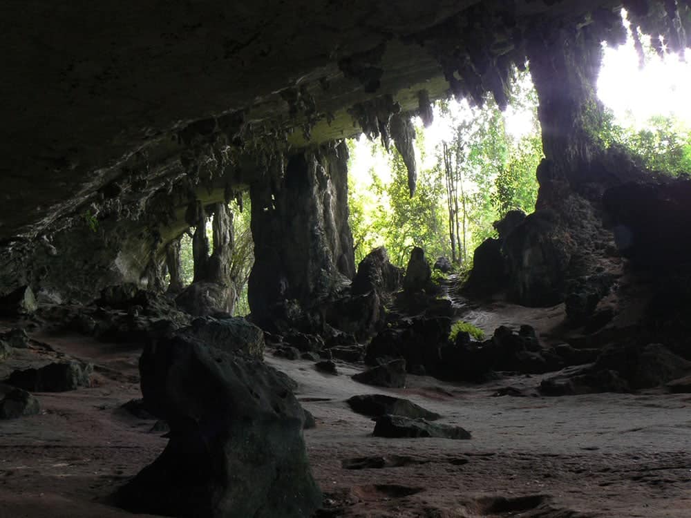 Beaks, boots, and binoculars: Birdwatching in Niah